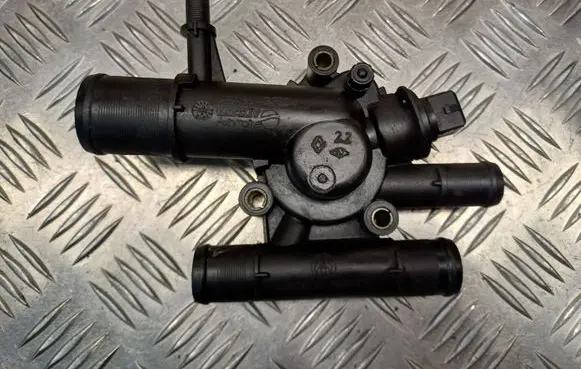 Thermostat/thermostat housing