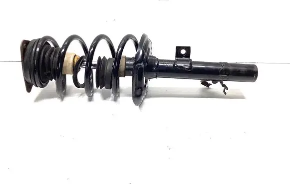 Nissan Qashqai Front shock absorber with coil spring 3340173 543206968R 540354EA0A