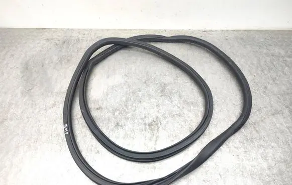 Opel Vivaro Front door rubber seal 9806514880