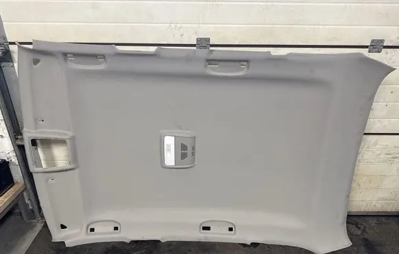 BMW X1 E84 Headlining 2991789 0539351 03102013