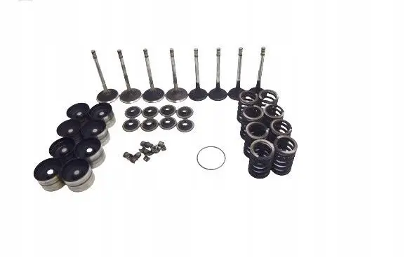 Volkswagen Golf IV Valve spring 