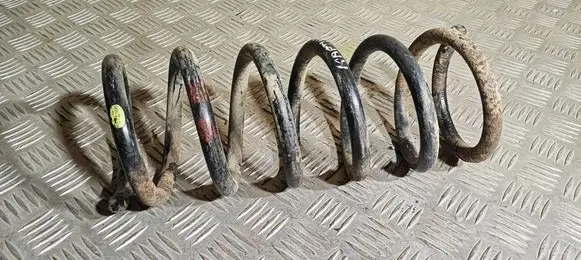 Chevrolet Captiva Rear coil spring