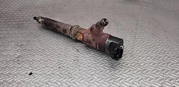 Fiat Ducato Fuel injector 0445110418 504389548