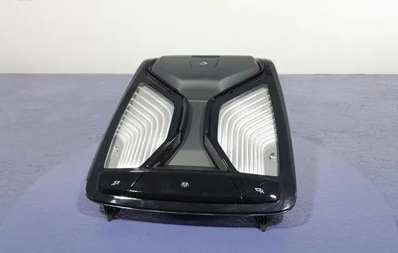 BMW X5 E53 Boot/trunk interior light 5A25160