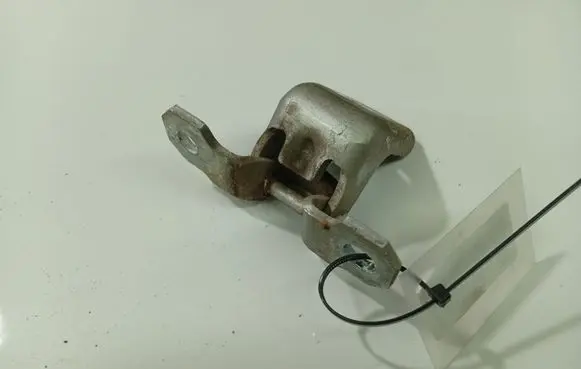 Renault Laguna II Rear door lower hinge 