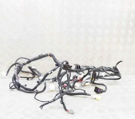 Tesla Model 3 Other wiring loom 311769000B