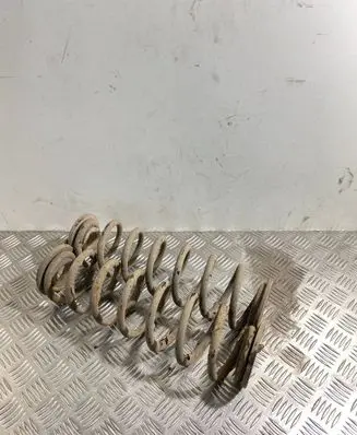 Skoda Octavia Mk2 (1Z) Rear coil spring