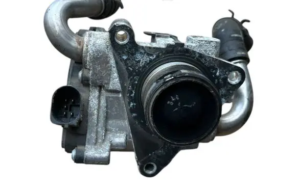 EGR valve