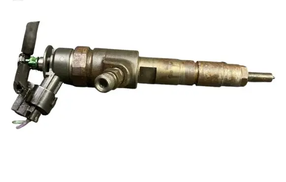 Citroen C3 Fuel injector 0445110339