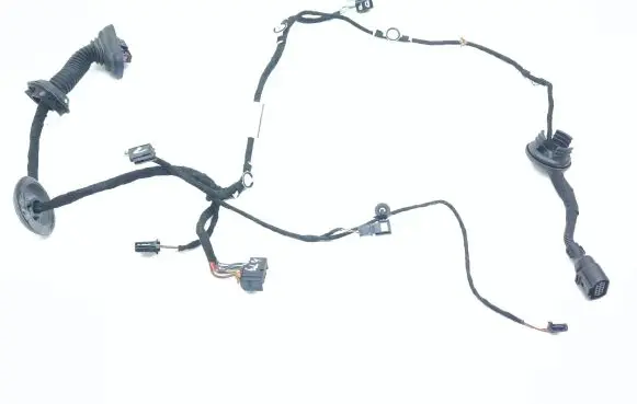 Front door wiring loom