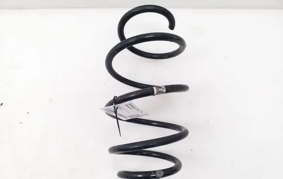 Opel Insignia A Front coil spring 