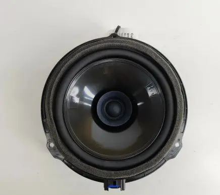 Rear door speaker