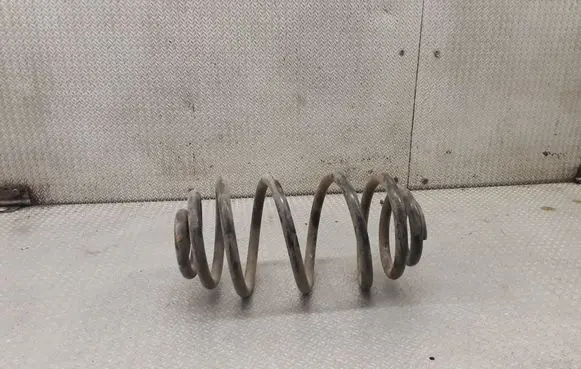 Rear coil spring