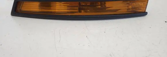 Volkswagen PASSAT B6 Front indicator light 3C0953041F