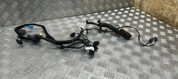 Audi A8 S8 D5 Front door wiring loom 4N0971029AN