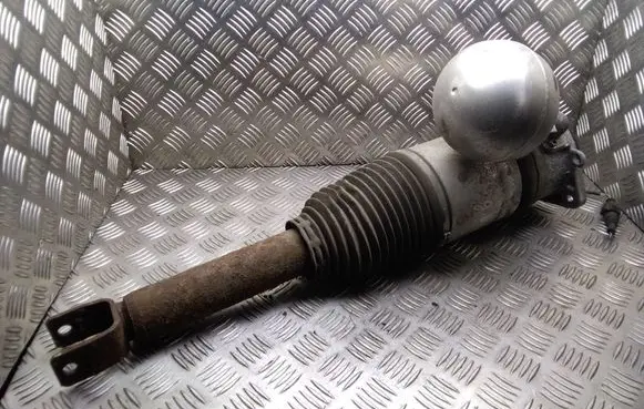 Volkswagen Phaeton Shock absorber/damper/air suspension 3D0616002K