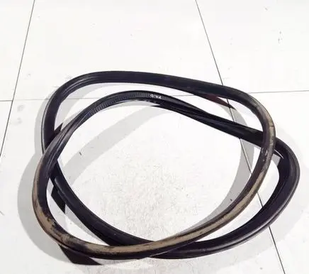 Opel Insignia A Rubber seal front coupe door 