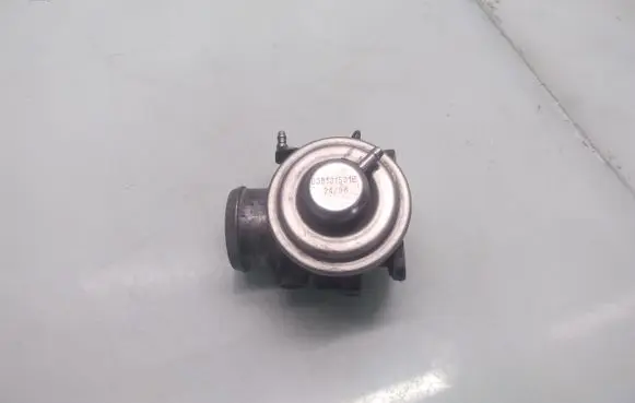 Volkswagen Golf IV EGR valve 038131501E