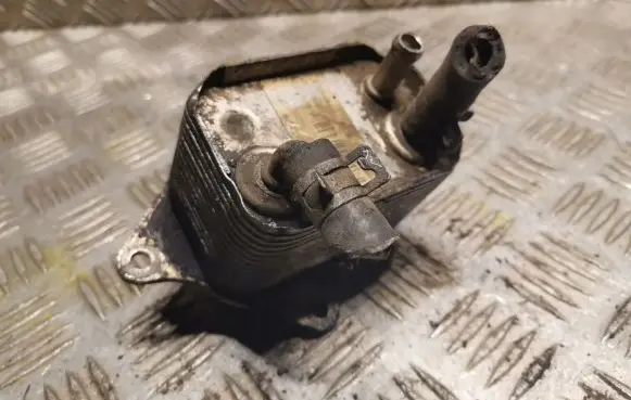 Mercedes-Benz C W202 Fuel cooler (radiator) 6110780079