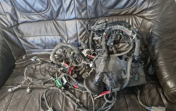 Engine installation wiring loom