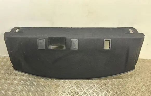 Dodge Charger Parcel shelf 1LM50DX9AN 100001
