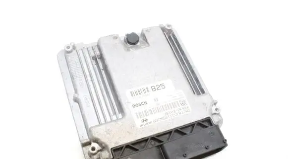 Hyundai Santa Fe Engine control unit/module 391032F440 0281017541