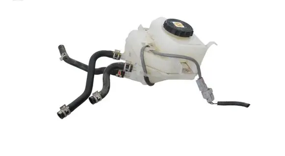 Lexus NX Brake fluid reservoir 21365