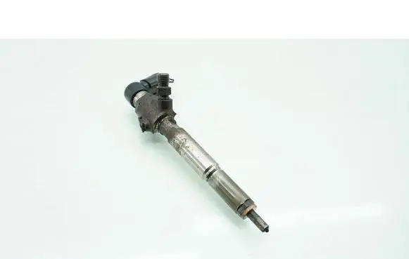 Nissan Qashqai Fuel injector H8200294788