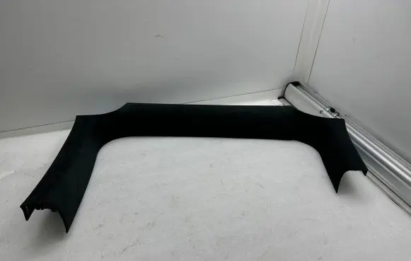 Tesla Model X Other rear door trim element 165973089B DB12304719745
