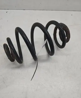 Rear coil spring
