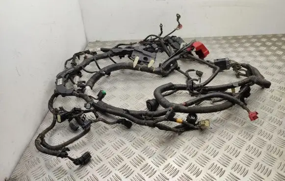 Ford Edge II Engine installation wiring loom DG9T14A099AGB EU5T12C508GH