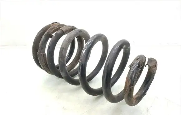 Rear coil spring
