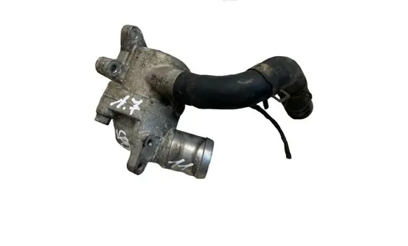 Thermostat/thermostat housing