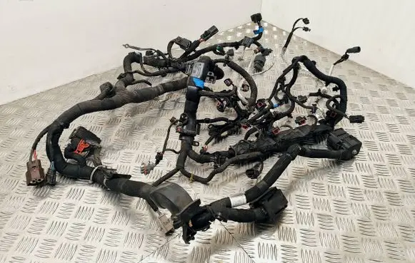 Land Rover Discovery Sport Engine installation wiring loom H4D312A690 A50175109 A50175699