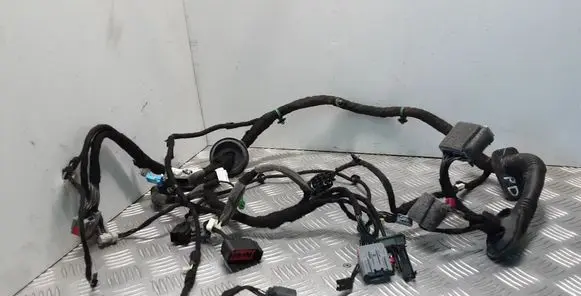 Front door wiring loom