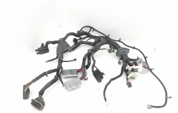 Engine installation wiring loom
