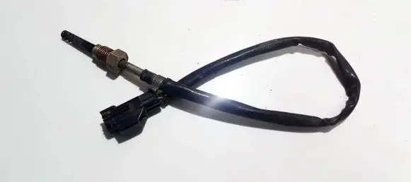 Exhaust gas temperature sensor