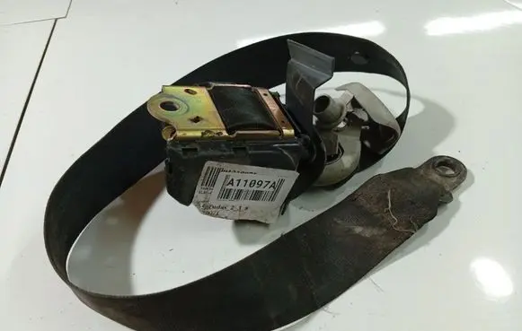 Volkswagen Sharan Rear seatbelt 