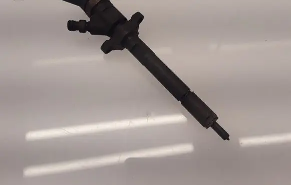 Citroen C4 I Picasso Fuel injector 0445110281
