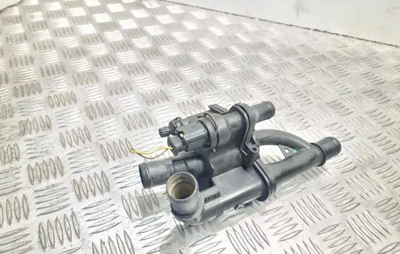 Thermostat/thermostat housing