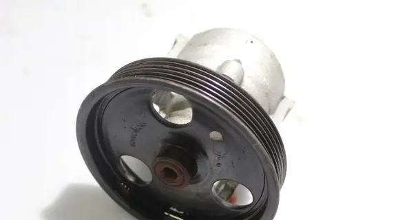 Dacia Duster Power steering pump 491100034