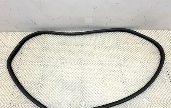 BMW X6 F16 Rubber seal front door (on door) 