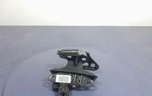 Ford Mustang I Tailgate/trunk/boot lock/catch/latch FR3B-6343282-CB