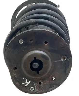 Ford Fusion II Front shock absorber with coil spring DG9C5310FNB
