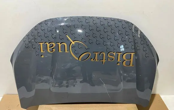Dacia Sandero III Engine bonnet/hood 651224904R