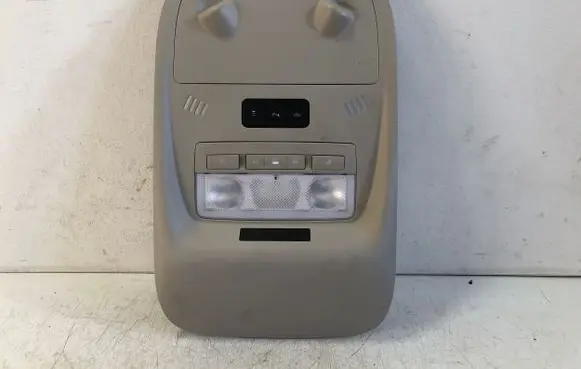 Opel Ampera Front seat light 22828398 13309524