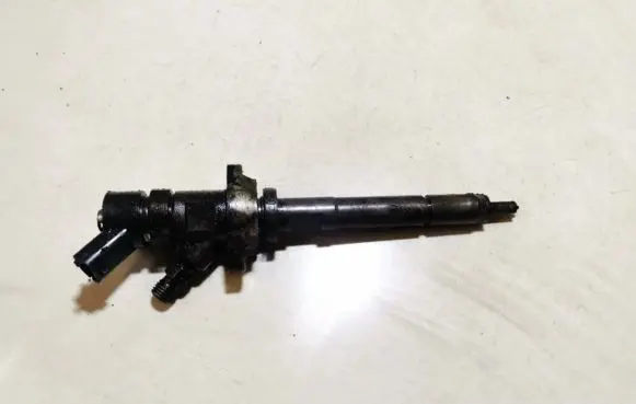 Citroen C5 Fuel injector 0445110239