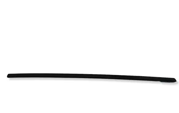 Dodge RAM Rear door trim (molding) 00040000AD 68348686AG