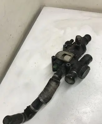 Thermostat/thermostat housing