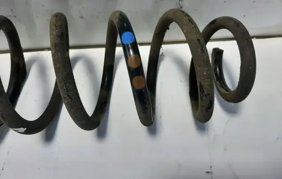 Rear coil spring